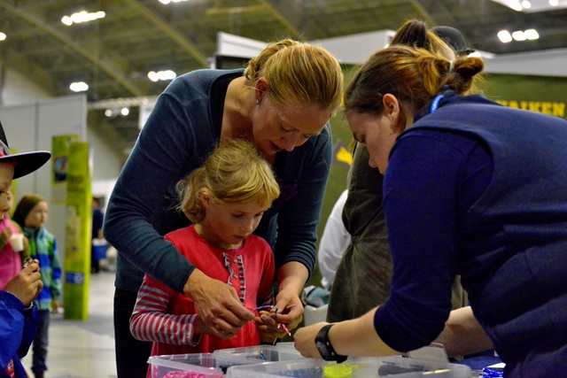 Solmukoulu tietotaito-kehällä